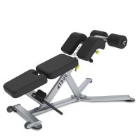 TRUE FS-22 Low Back / Abdominal Bench