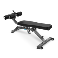 TRUE XFW-5300 Abdominal/Decline Bench